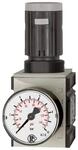 Riegler Druckregler &raquo;FUTURA&laquo;, inkl. Manometer, BG 1, G 3/8, 0,5 - 8 bar