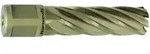 metallkraft Kernbohrer GOLD-LINE 55 Weldon &Oslash; 50mm