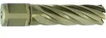 metallkraft Kernbohrer GOLD-LINE 55 Weldon &Oslash; 44mm
