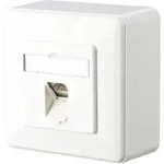 BTR NETCOM Anschlussdose C6A AP 1xRJ45 rws E-DAT 1AP