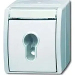 Busch-Jaeger Schl&uuml;sselschalter 2733 SLW-54