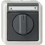 Gira Jalousietaster/Schalter grAP-WG 015430