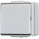 Jung Wippschalter Kreuz 607 W