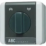 Jung Jalousie-Drehschalter 10AX 250V 1-pol. 834.10 W