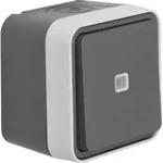 Berker Taster Wechsler lichtgrau 50763505