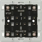 Jung Funk-Wandsender-Modul 2-kanalig FM 4002 M