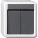 Gira KNX Taster BA 2fach grau AP 2Punkt 516230