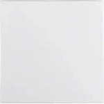Berker Wippe pws/matt 16201909
