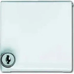 Busch-Jaeger Zwischenring aws mit Klappdeckel 2118 GKSL-34