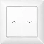 Jung Abdeckung Symbole aws f&uuml;r Taster AS 590-5 P WW