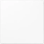 Jung Blind-Abdeckung aws kompl.mit Tragring LS 994 B WW