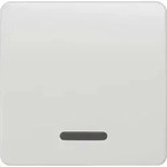 Siemens Indus.Sector Wippe f.K/A/W-Schalter Delta Profil, tws 5TG7800