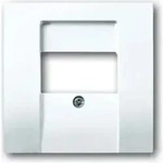 Busch-Jaeger Zentralscheibe dav/sws f.UAE/TAE/LS 1766-84