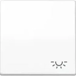 Jung Wippe Symbol LICHT aws f&uuml;r Taster AS 591 L WW