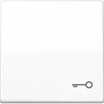 Jung Wippe Symbol T&Uuml;R aws f&uuml;r Taster AS 591 T WW
