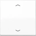 Jung Wippe Symbole aws f&uuml;r Taster AS 591 P WW
