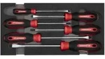 Gedore R22150013 Schraubendrehersatz PH+SL 2/6 CT-Modul 6-teilig
