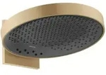hansgrohe Kopfbrause Rainfinity 360 A 381mm, 3jet, m WA, brush. bron