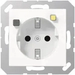 Jung FI-SCHUKO Steckdose 30mA A5520.30WW alpinwei&szlig;