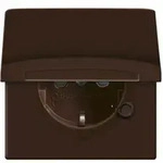 Busch-Jaeger Schuko-Steckdoseneinsatz IP44 braun 20 EUGKB-31-101