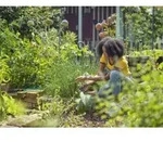 Gardena GartenschereExpertCutAkti on