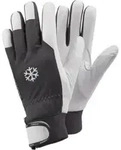 Ejendals K&auml;lteschutzhandschuh-Paar Tegera 117, Handschuhgr&ouml;&szlig;e: 9