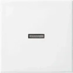 Busch-Jaeger Wippe aws Busch-balance SI 1789 N-914