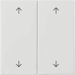 Gira Wippe 2-fach Reinwei&szlig; 538703