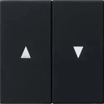 Gira Wippe 2f. sw Pfeilsymbol 0294005
