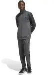 Outdoor/Freizeit Adidas AG Adidas Herren DAYREADY TRACKSUIT - Mehrfarbig - L