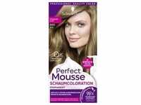 Perfect Mousse Haarpflege Coloration 8-0/800 Mittelblond Stufe 3Perfect Mousse