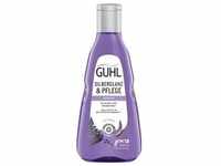 Guhl Haarpflege Shampoo Silberglanz & Pflege Shampoo Refill