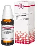 ARTEMISIA VULGARIS Urtinktur 20 ml