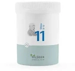 BIOCHEMIE Pfl&uuml;ger 11 Silicea D 12 Pulver 250 g