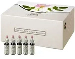 BACHBL&Uuml;TEN 10 ml Set Tropfen 400 ml