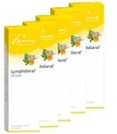 LYMPHDIARAL DS Salbe 5X100 g