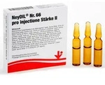 NEYDIL Nr.66 pro injectione St.2 Ampullen 5X2 ml