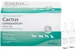 CACTUS COMPOSITUM ad us.vet.Ampullen 50 St