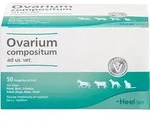 OVARIUM COMPOSITUM ad us.vet.Ampullen 50X5 ml
