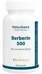 BERBERIN 500 Myo-Inositol & Piperin vegan Kapseln 60 St