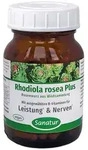 RHODIOLA ROSEA Plus B-Vitamine Kapseln 60 St