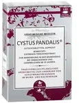 CYSTUS Pandalis Lutschtabletten 132 St