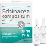 ECHINACEA COMPOSITUM ad us.vet.Ampullen 5 St