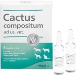 CACTUS COMPOSITUM ad us.vet.Ampullen 5 St