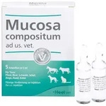 MUCOSA compositum ad us.vet.Ampullen 5X5 ml