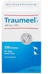 TRAUMEEL T ad us.vet.Tabletten 250 St