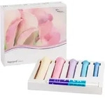 VAGIWELL Dilators Premium 5 Gr&ouml;&szlig;en 5 St