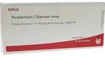 PERIODONTIUM/STANNUM comp.Ampullen 10X1 ml