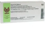 ISCUCIN pini St&auml;rke A Ampullen 10X1 ml