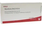 MANDIBULA feti GL D 12 Ampullen 10X1 ml